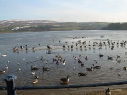 Hollingworth  Lake Wallpaper