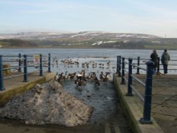 Hollingworth  Lake Wallpaper