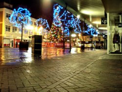 Festive looking Beeston Wallpaper