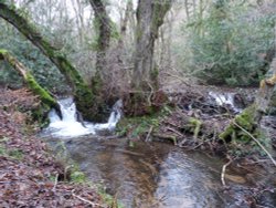 Quantock Hills Wallpaper