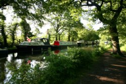 River Wey Wallpaper