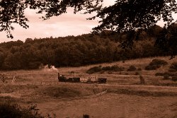 The Steam Train at Beamish Wallpaper