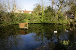 Village pond Wallpaper