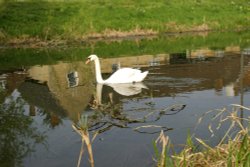 On the River Welland. Wallpaper