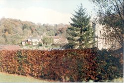 Rievaulx Abbey, Autumn 1991 Wallpaper