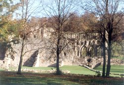 Rievaulx Abbey Autumn 1991 Wallpaper