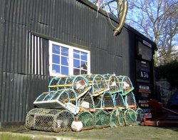 Old Shed Wallpaper