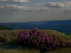 View from Calver Rocks