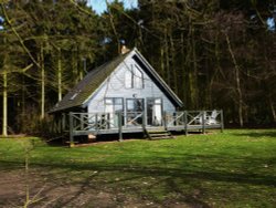 One of the Chalet's in the woods