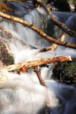 A small water fall near Orrest Head