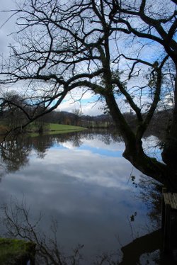 Witley Lake