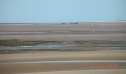 Titchwell Marsh Nature Reserve Wallpaper