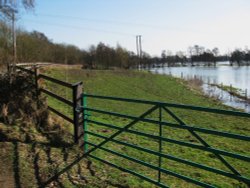 Harleston Floods Wallpaper