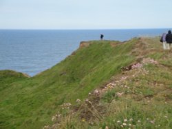 Flamborough Head Wallpaper