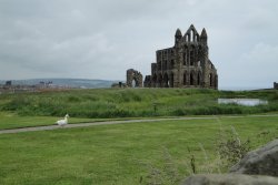 Whitby Abbey Wallpaper