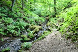 Along the footpath to High Force Waterfall Wallpaper