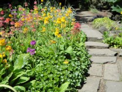 A sunny day in June at Newby Hall gardens Wallpaper