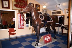 The horse 'Copenhagen' inside the museum. Wallpaper