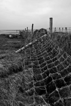 Cumbrian Coastal Way