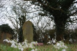 Overgrown Churchyard Wallpaper