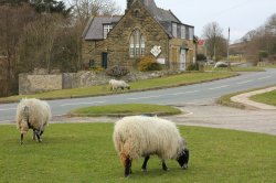 Hutton Le Hole 7 Wallpaper