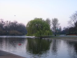 Regents Park Wallpaper