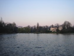 Regents Park Wallpaper