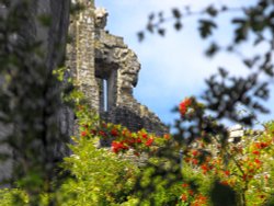 Corfe through the trees Wallpaper