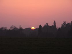 March sunset over Westonbirt 2009 Wallpaper