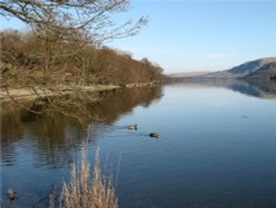 Ullswater reflections Wallpaper