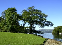 Windermere Wallpaper