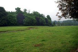 View over the back hedge. Wallpaper