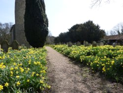 Morningthorpe Church Pathway Wallpaper