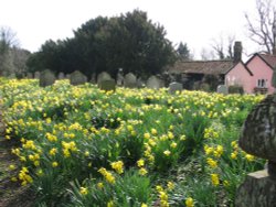 Morningthorpe Graveyard Wallpaper