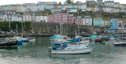 Brixham harbour Wallpaper