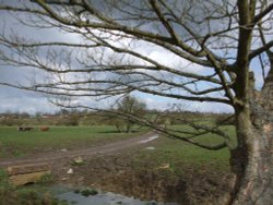 Looking towards Braunston from Wolfhampcote Church Wallpaper