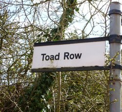 Toad Row Signpost Wallpaper