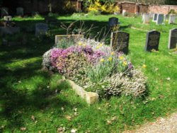 One of the graves in the Churchyard Wallpaper