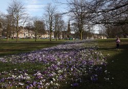 Spring in Harrogate