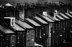 Terrace of houses at Shipley Wallpaper