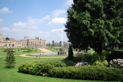 Spring at Witley Wallpaper