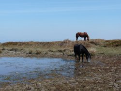 Quantock Hills Wallpaper