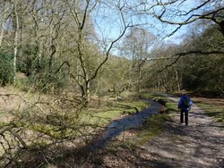 Quantock Hills Wallpaper