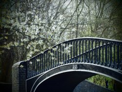 Bridge over the Oxford Canal at Isis Lock, Oxford. Wallpaper