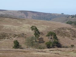 Quantock Hills Wallpaper