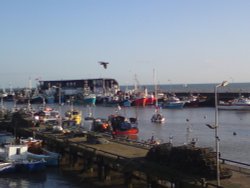 Bridlington Harbour