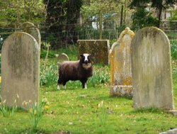 Another worker in the Graveyard Wallpaper