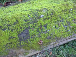 Churchyard of St. Nicholas of Myra