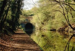 Grand Union Canal looking towards Braunston tunnel Wallpaper