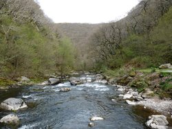 Watersmeet Wallpaper